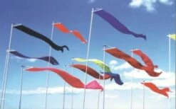 Wind Dancer – Solid