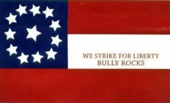 10 TX Cavalry Company E Flag - 3x5'