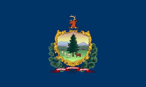 Vermont Flag - Outdoor 4 Vermont Flag - Outdoor - Image 4