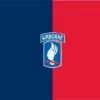 173rd Airborne Brigade Flag - 3x4'