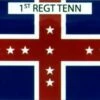 1st Tennessee Infantry Regiment Flag - 3x5'