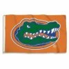 Florida Gators Outdoor Flag - Gator On Orange