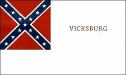 2nd TX Infantry Flag - 3x5'