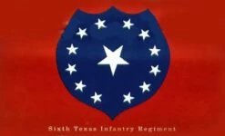 6th TX Infantry Flag - 3x5'