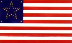 79th IL Infantry National Flag - 3x5'