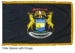 Michigan Flag - Indoor