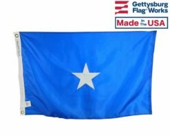 Air Force Brigadier General (1 Star) - Air Force Officer Outdoor Flags