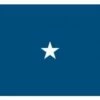 Air Force Brigadier General (1 Star) - USAF Officer Indoor Flag - Choose Options