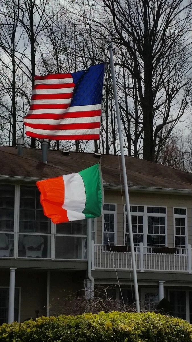 Ireland Flag 12 Ireland Flag - Image 12