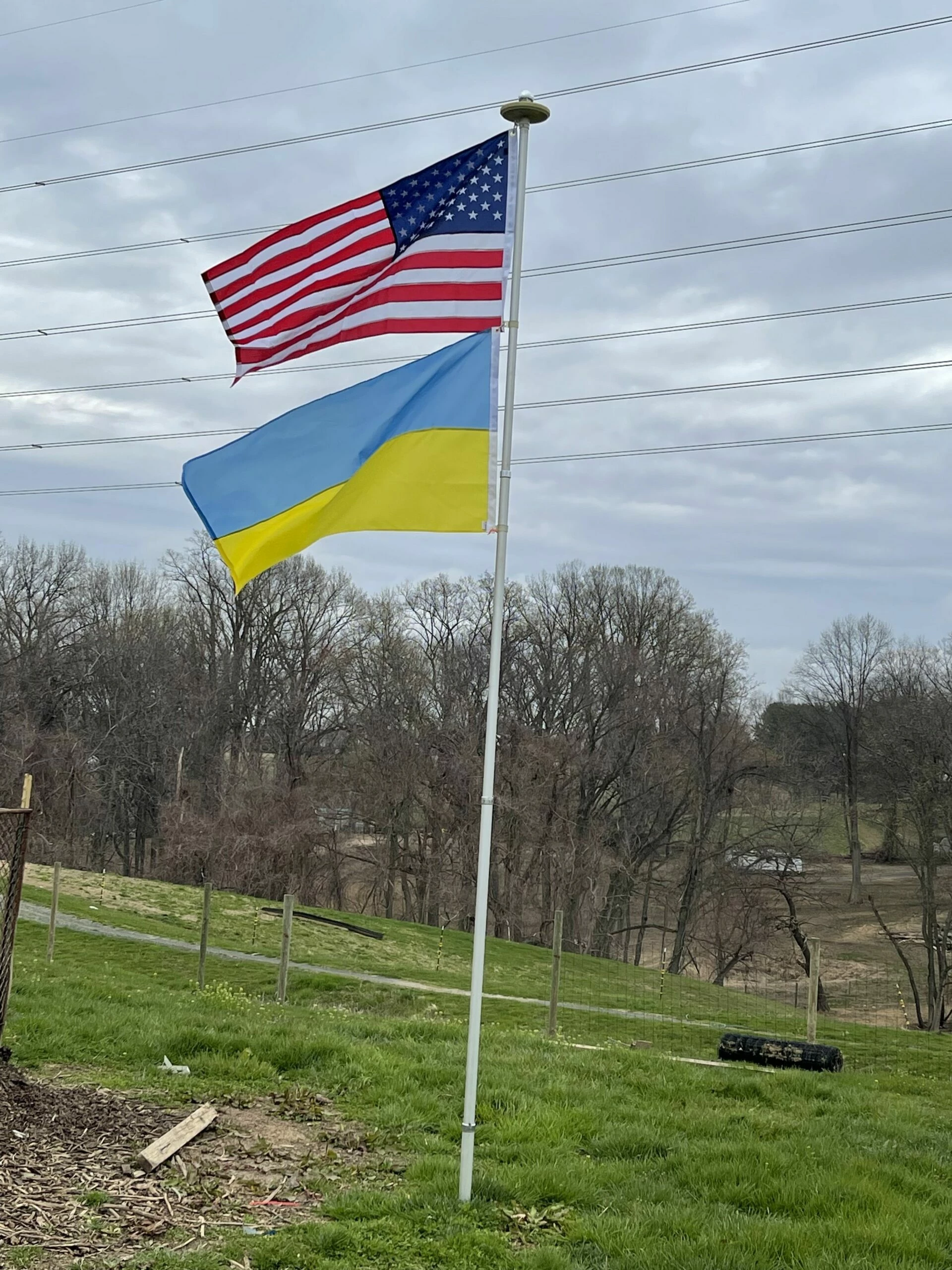 Ukraine Flag, Indoor & Outdoor 10 Ukraine Flag, Indoor & Outdoor - Image 10