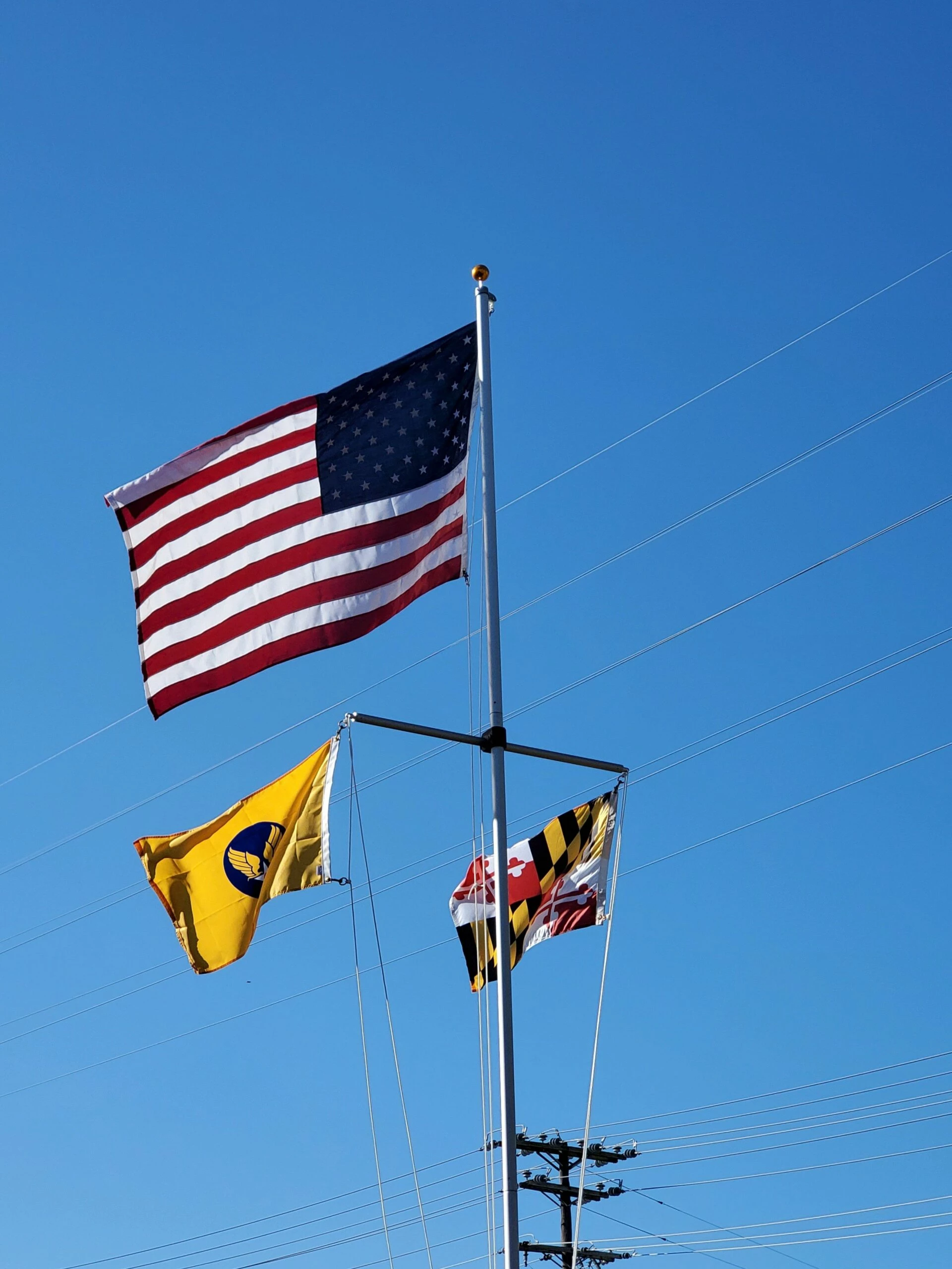 Maryland Flag - Outdoor 5 Maryland Flag - Outdoor - Image 5