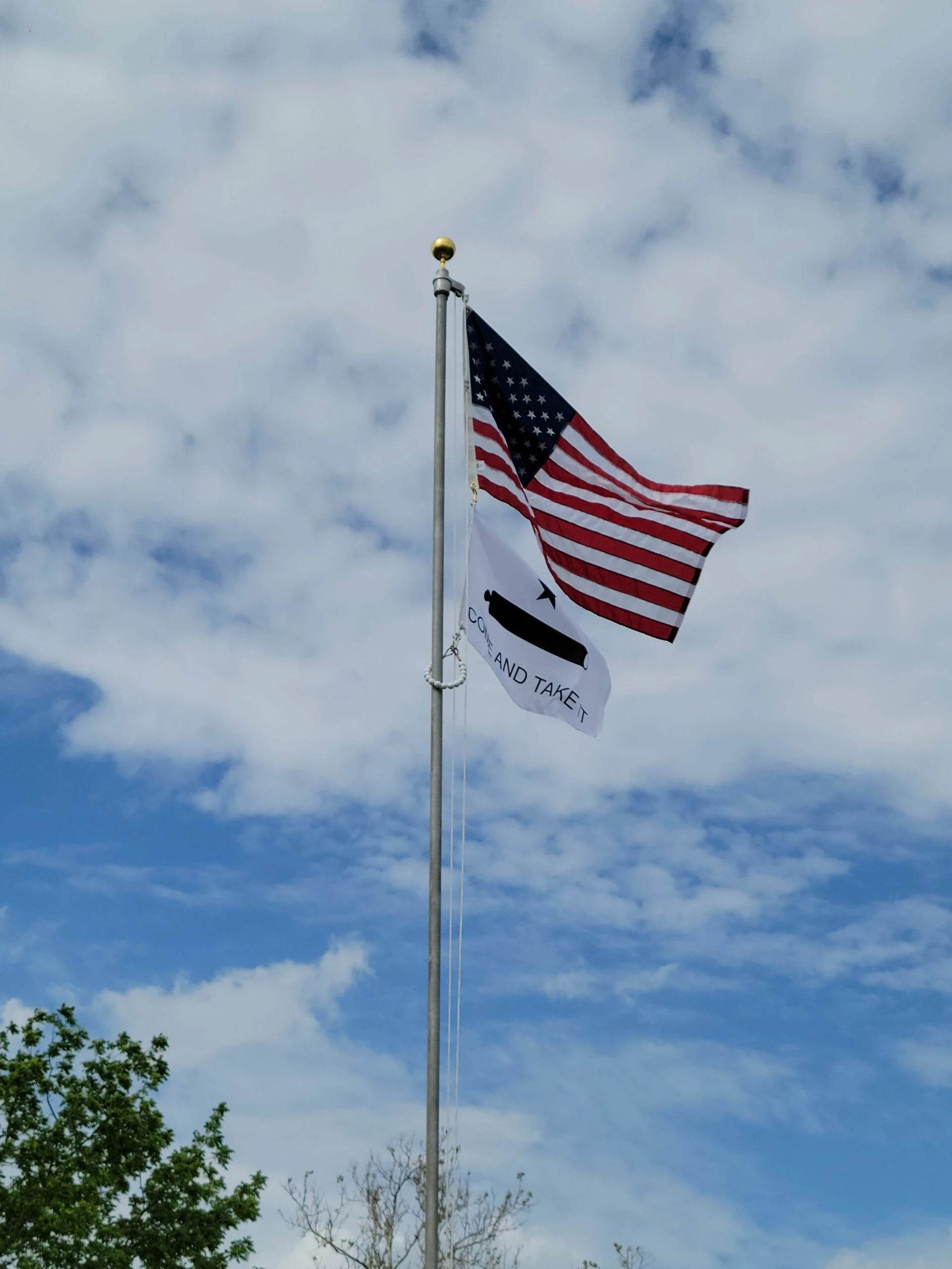 Come & Take It Gonzales Flag -Choose Options 4 Come & Take It Gonzales Flag -Choose Options - Image 4