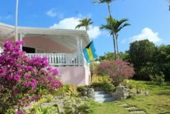 Bahamas Flag 12 Bahamas Flag -flag sale bahamas flag customer photo