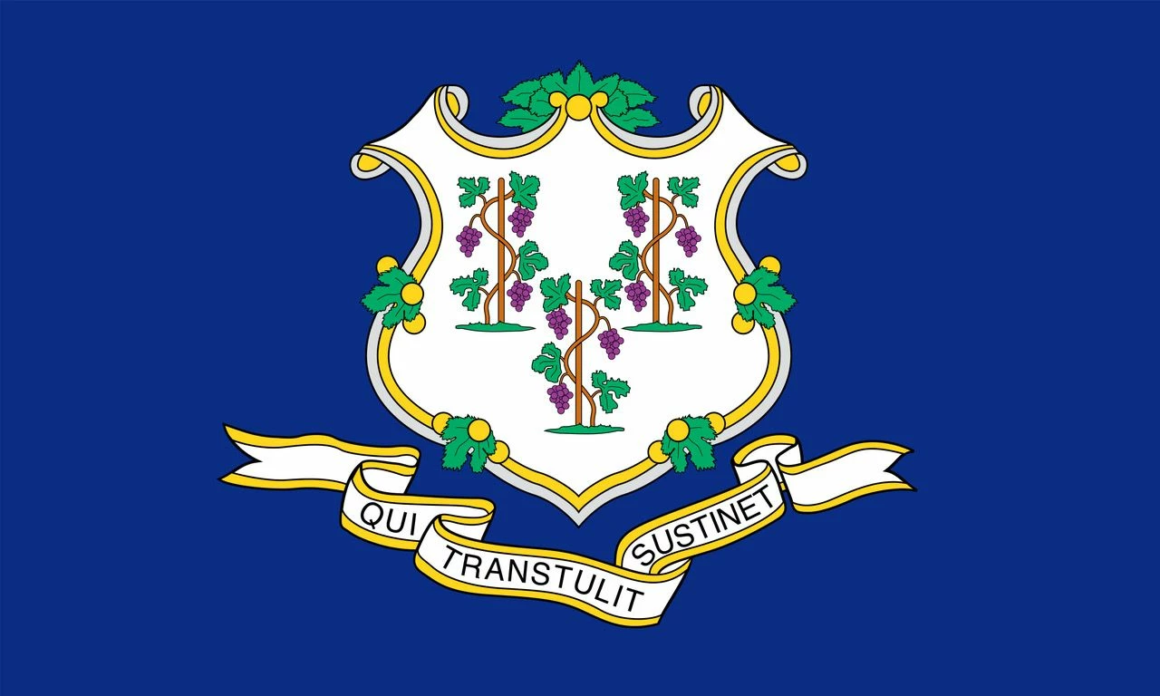 Connecticut Flag - Outdoor 4 Connecticut Flag - Outdoor - Image 4