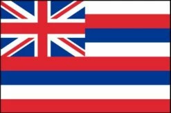 Hawaii Flag - Outdoor -flag sale hawaii 1