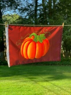 Pumpkin Flag-Choose Options 7 Pumpkin Flag-Choose Options -flag sale img 0993