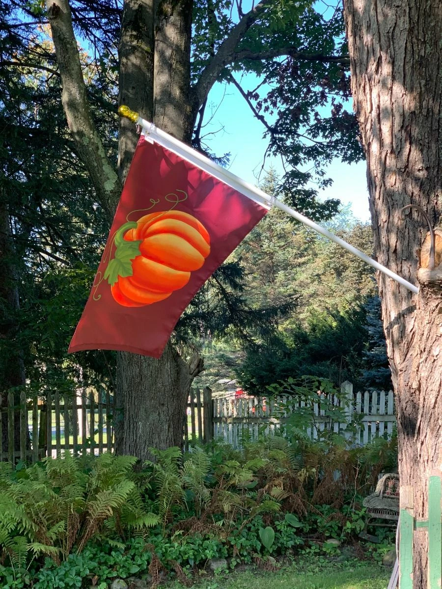 Pumpkin Flag-Choose Options 5 Pumpkin Flag-Choose Options - Image 5