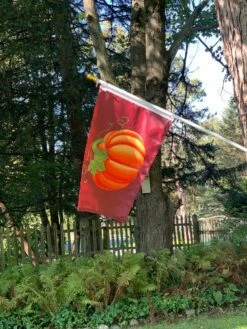 Pumpkin Flag-Choose Options 8 Pumpkin Flag-Choose Options -flag sale img 0999