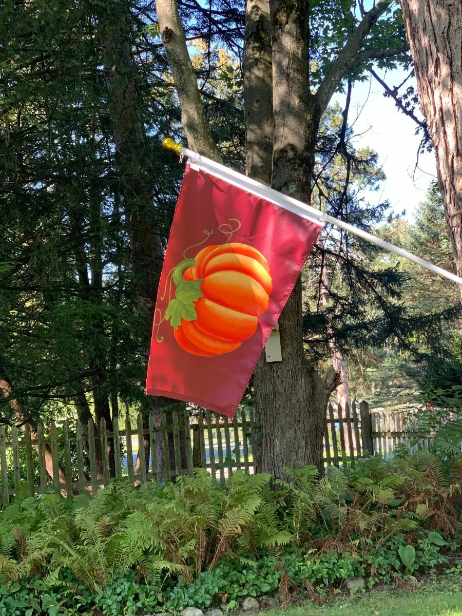 Pumpkin Flag-Choose Options 4 Pumpkin Flag-Choose Options - Image 4