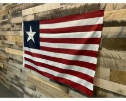 Texas Naval Ensign - Choose Options -flag sale img 9535