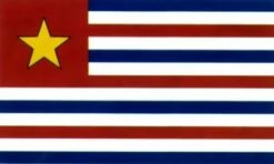 LA Gold Star Flag - 3x5'