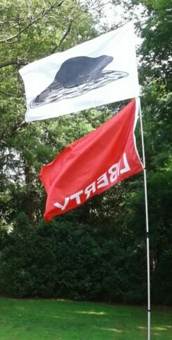 Original New York State Black Beaver Flag Of 1775 -flag sale liberty huntington and beaver nys flag