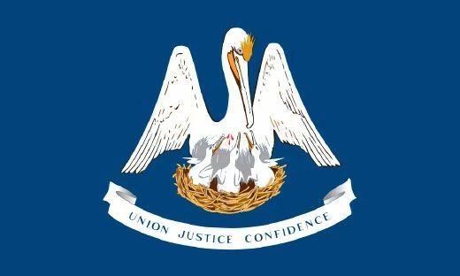 Louisiana Flag - Outdoor 4 Louisiana Flag - Outdoor - Image 4