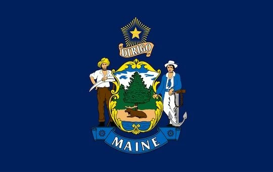 Maine Flag - Outdoor 4 Maine Flag - Outdoor - Image 4