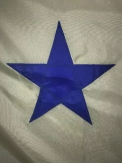 Original Maine Historic Flag -flag sale pastedgraphic 6 1