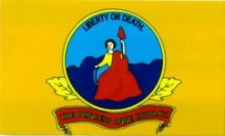 Princess Anne Cavalry Flag 1864 - 3x5'