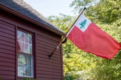 Flag Of New England (Continental) With Pine Tree -flag sale r5 23516