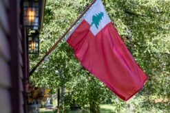 Flag Of New England (Continental) With Pine Tree -flag sale r5 23517