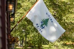 Dirigo - Maine Merchant & Marine Naval Ensign 13 Dirigo - Maine Merchant & Marine Naval Ensign -flag sale r5 23550