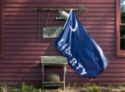 Fort Moultrie Liberty Flag -flag sale r5 23689