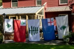 Flag Of New England (Continental) With Pine Tree -flag sale r5 23709