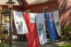 Flag Of New England (Continental) With Pine Tree -flag sale r5 23722