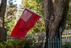 Brandywine Flag-Choose Options -flag sale r5 23744