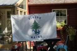 Dirigo - Maine Merchant & Marine Naval Ensign 15 Dirigo - Maine Merchant & Marine Naval Ensign -flag sale r5 23757