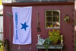 Liberty Or Death Lone Star / Troutman Flag -flag sale r5 23758
