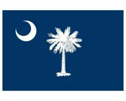 South Carolina Flag - Outdoor -flag sale scarolina 1
