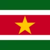 Suriname Flag