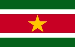 Suriname Flag