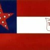 Texas Regiment Flag - 3x5'