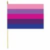 Transgender Stick Flag - 12x18"