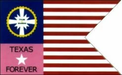 Tylers Guard Texas Guidon Flag - 3x5'