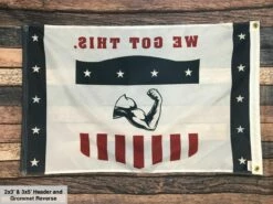 "We Got This" Flag & Banner 12 "We Got This" Flag & Banner -flag sale we got this hg back 1