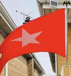 White Star Burgee Flag -flag sale white star line flag customer photo